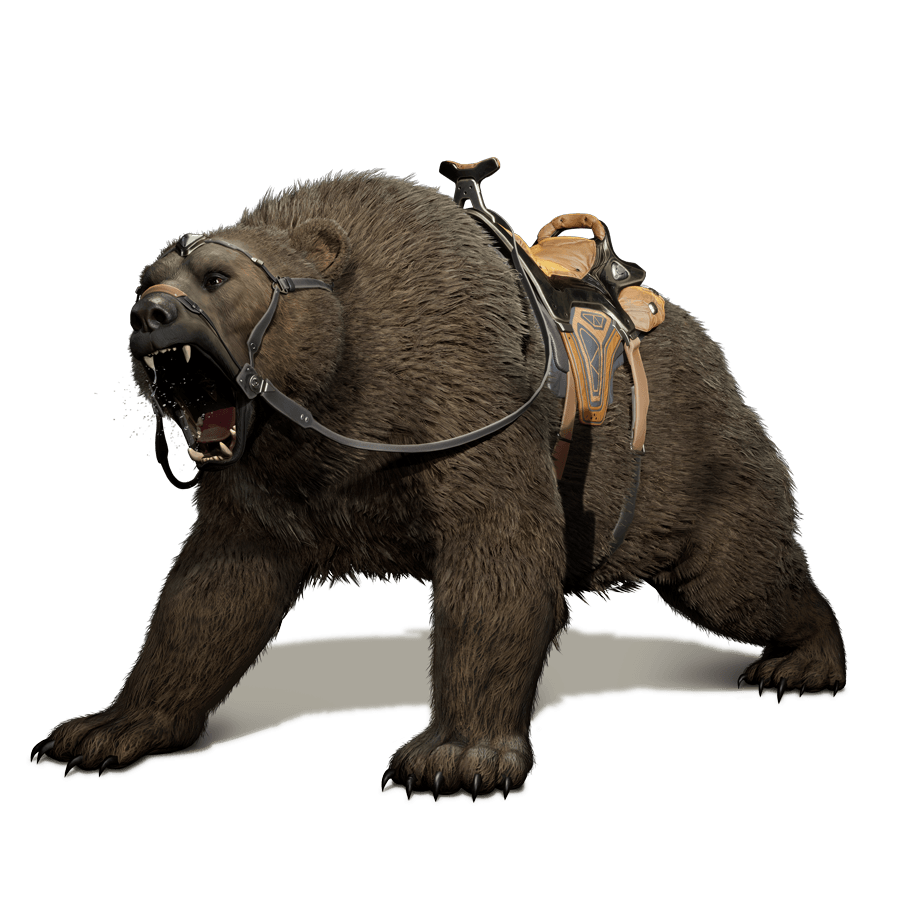 Bear mount in Highguard